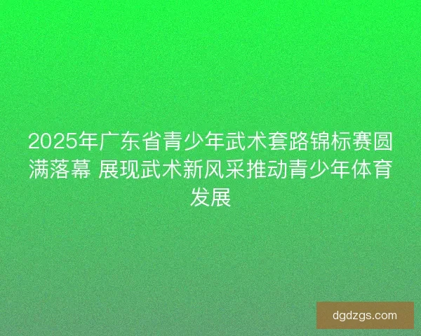 2025年广东省青少年武术套路锦标赛圆满落幕 展现武术新风采推动青少年体育发展