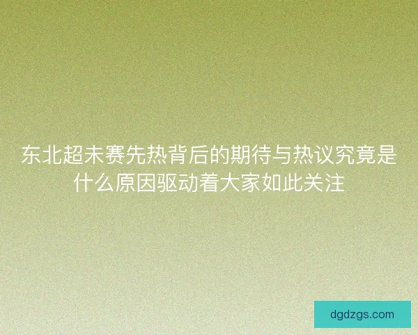 东北超未赛先热背后的期待与热议究竟是什么原因驱动着大家如此关注